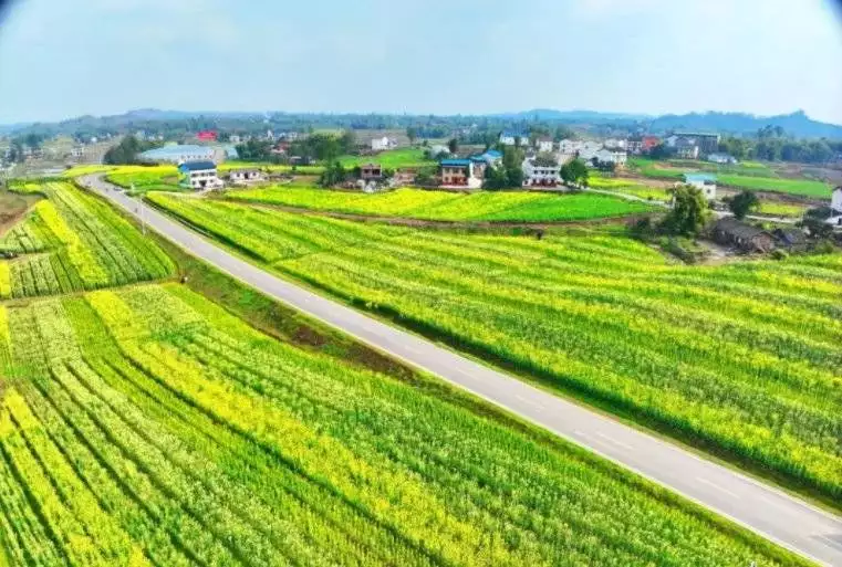 “国家现代农业产业园”花落四川省广安市岳池