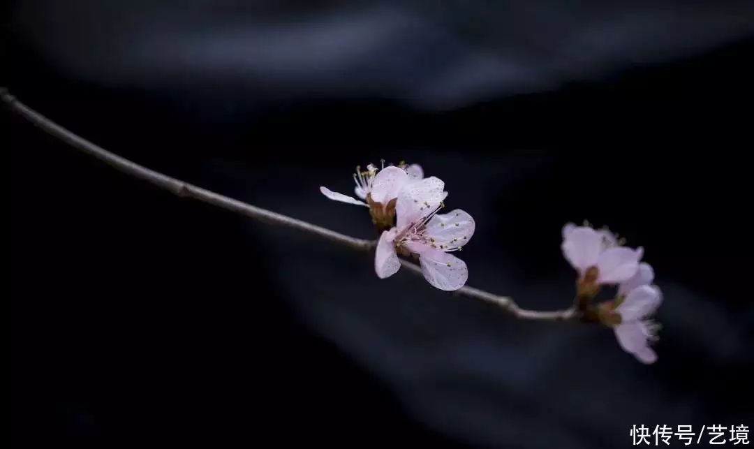 喜欢诉苦的，大多是这三种人，人缘都不太好那个高考故意考0分，写8000字抨击高考制度的蒋多多，现在怎样？