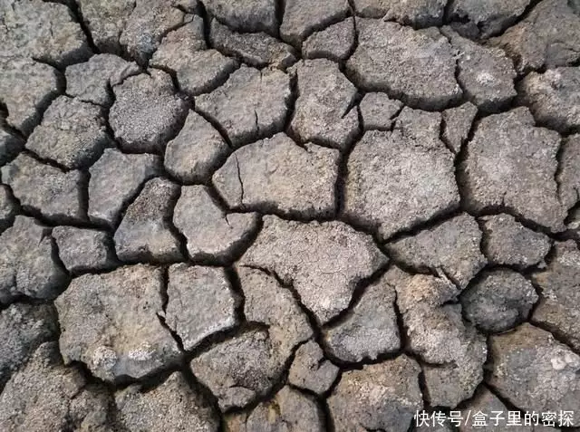 人类历史上最大的地震（地球上最严重的地震）