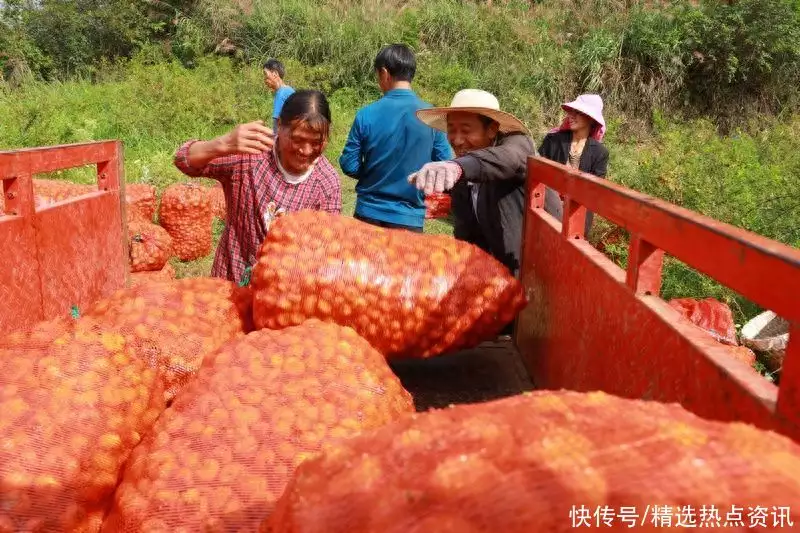 致富经中央_中央致富频道_中央致富经是真的假的