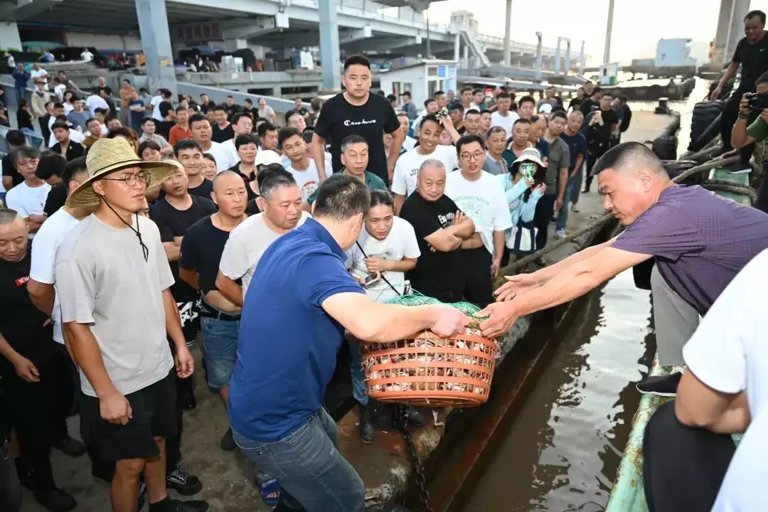 梭子蟹怎么洗（梭子蟹怎么洗才干净） 第8张