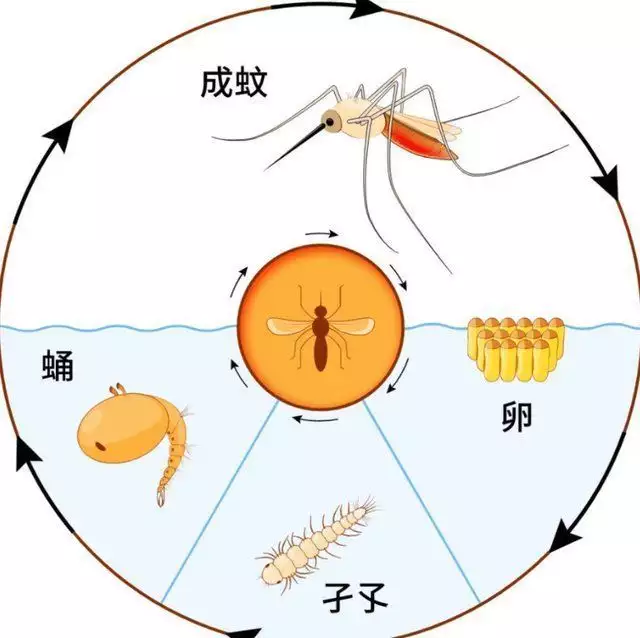 世界上最变态的人（世界上谁最变态?） 第2张