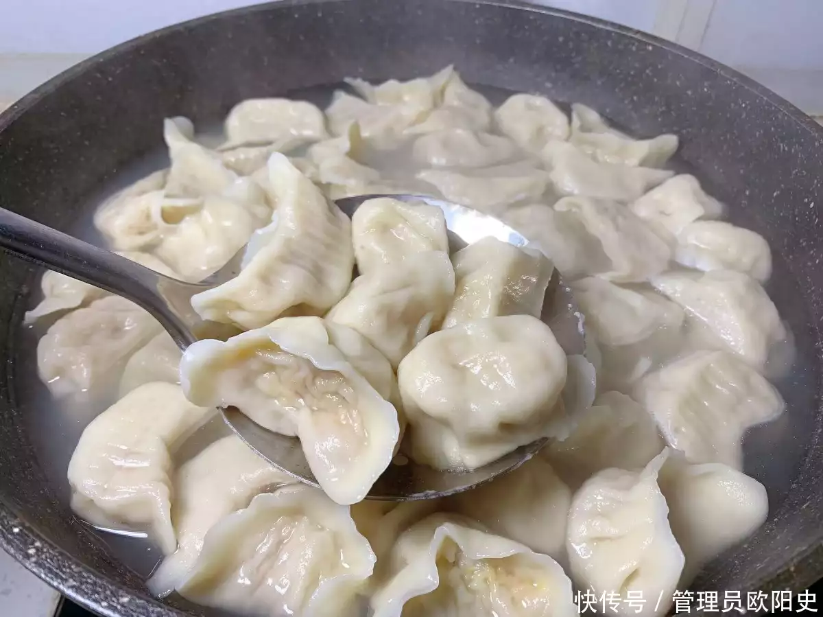 怎么煮饺子（怎样煮饺子不容易烂） 第1张