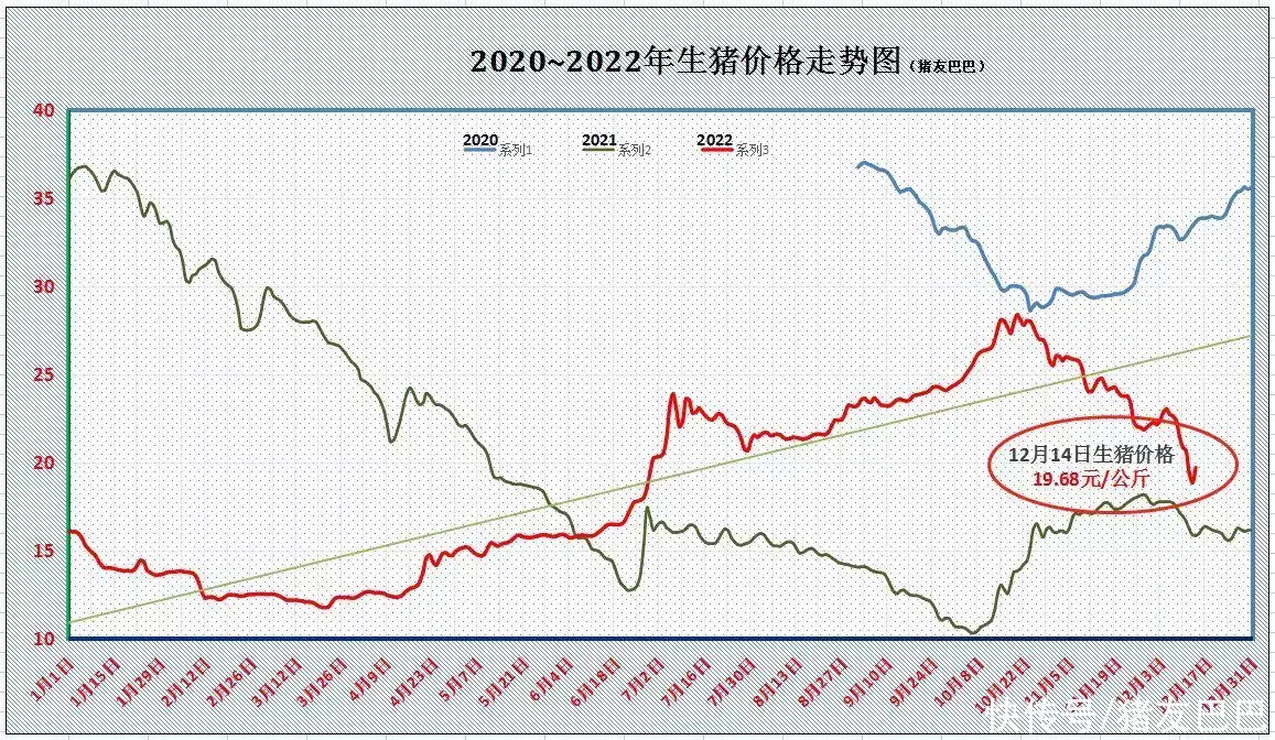 小麦淀粉（小麦淀粉多少钱一袋） 第3张