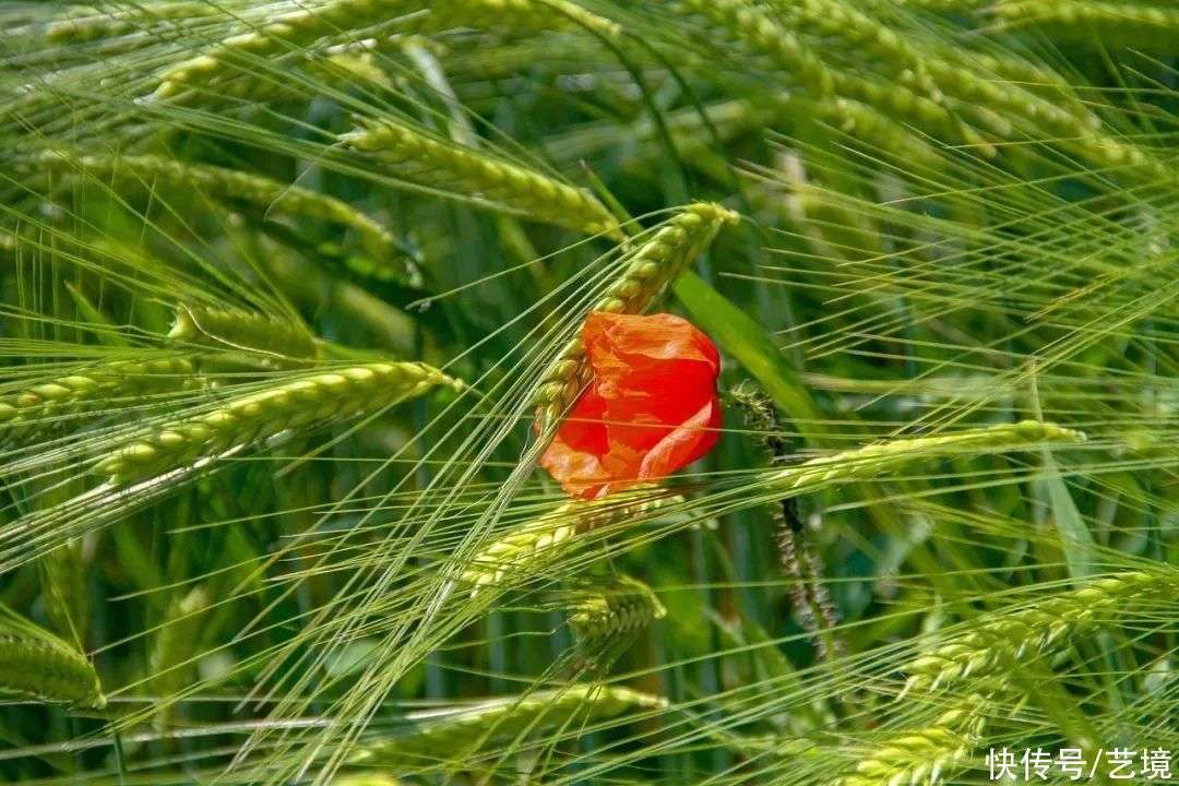 一切都是最好的安排(深度好文)_【快资讯】