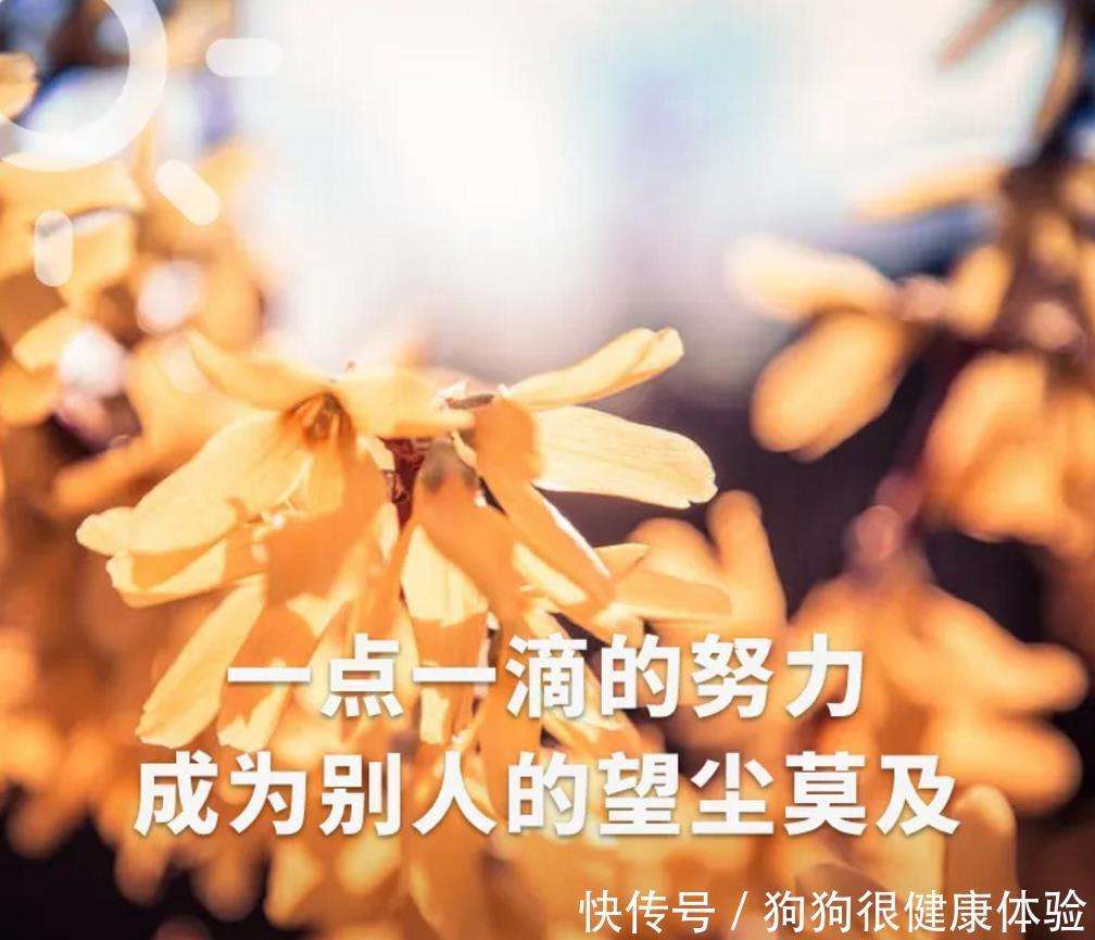 生活励志语录经典短句:积极人生格言励志短句_【快资讯】