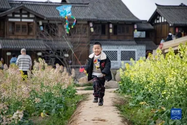 锦屏春暖（锦屏春暖欣欣向荣这本多少万字） 第5张