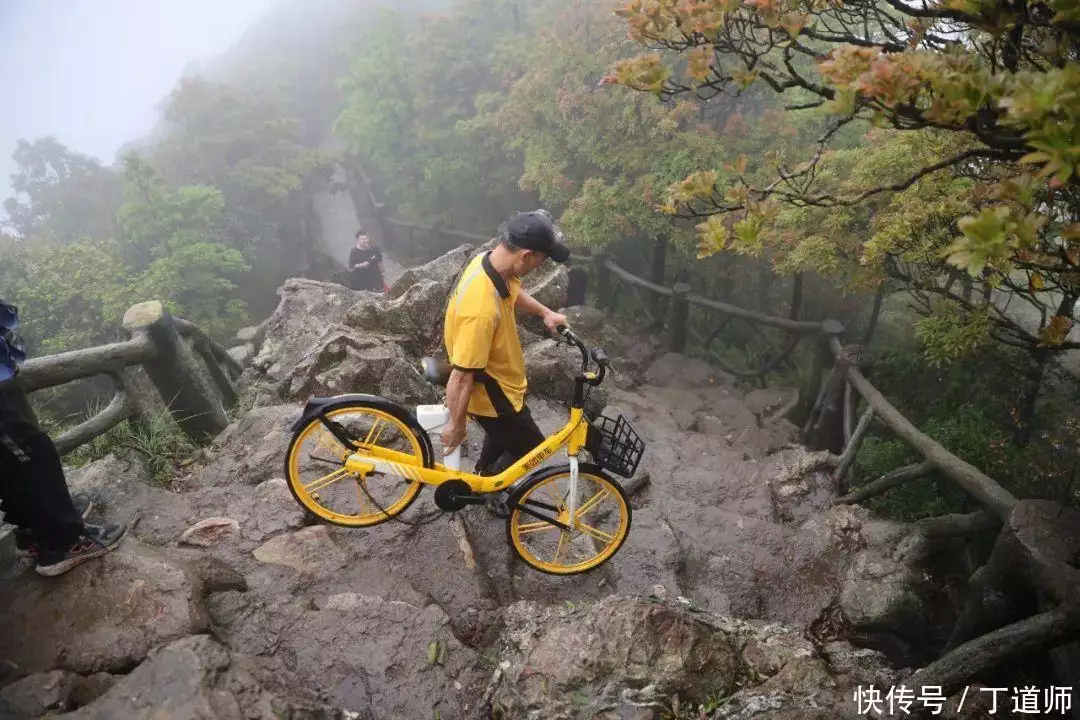 “抬共享单车上山”挑战引发关注：平台应正确引导，避免盲目跟风60岁叶童对比69岁赵雅芝，自然老去和医美老去的差距真的一目了然