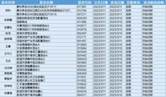 民生加银基金深度解读：从基金净值查询到资产配置的完整认知地图