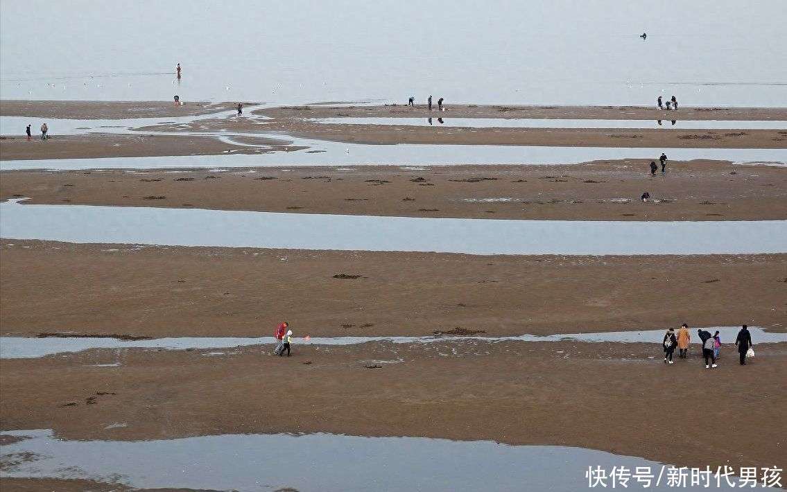 59亿!上海航道局中标横沙浅滩固沙保滩稳定河势工程_【快资讯】