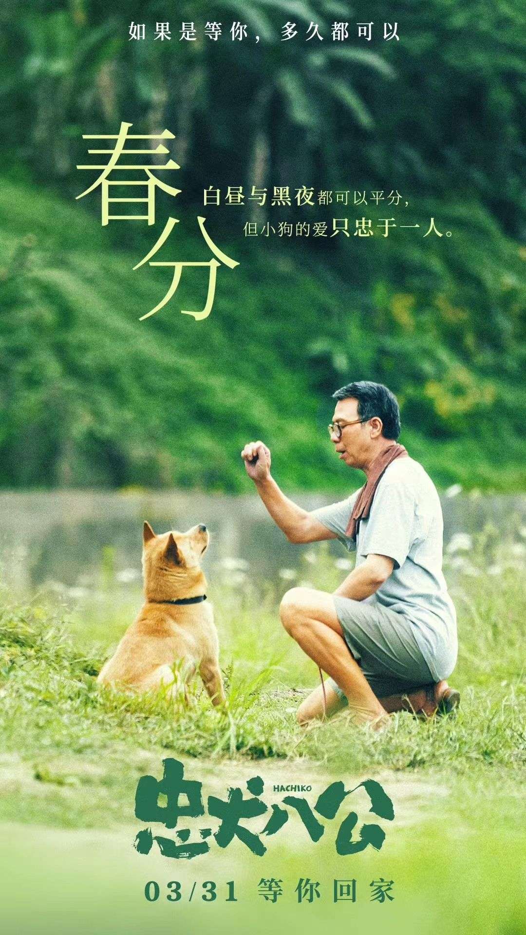 对话《忠犬八公》动物导演:冯小刚提前3周进组,小狗每天最长工作8小时,“八筒”演员“大黄”杀青后就息影_【快资讯】