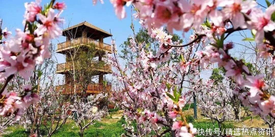 阜阳资讯：城市脉动与机遇并存