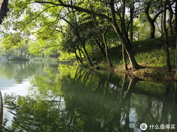 说走就走的一家三口杭州苏州六日游记（上：杭州篇）