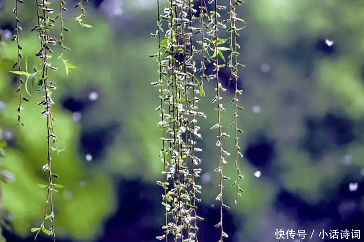 居然可以这样（苏轼江城子密州出猎）苏轼的江城子,密州出猎 第5张