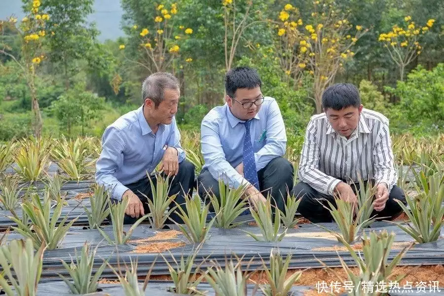 房前屋后种什么树好（庭院风水树哪种最好） 第3张