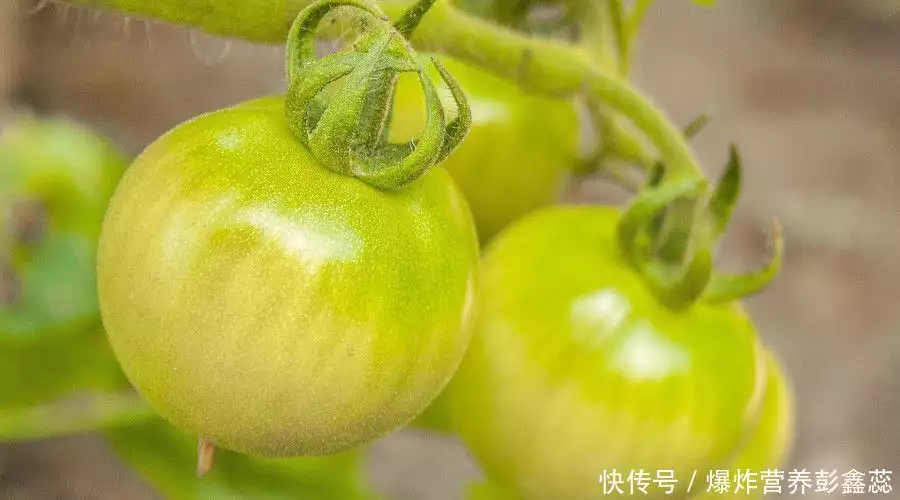 菠菜不能与什么同吃（菠菜不能和什么食物一起吃） 第5张