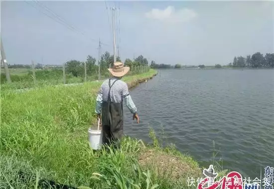 甲鱼致富经_致富经甲鱼养殖技术视频_致富经甲鱼