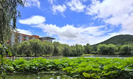 服务先行，加强计划调控，山东建筑大学发布普通高等教育招生章程徐梓钧更改签名回应高亚麟事件！真的是既心酸，又无奈