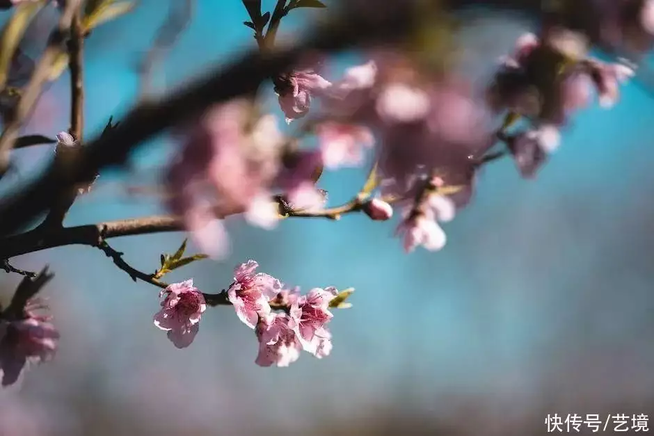 难以置信（感谢）感谢部队领导的话简短精辟 第2张