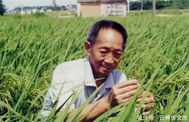 悼念老人驾鹤西去的诗句（悼念逝者安息的唯美句子儿女） 第1张