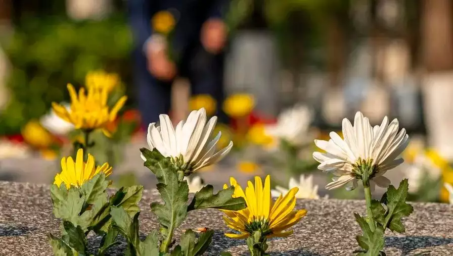 独子去世 离异父母因骨灰上法庭（独子死了可以要孙子抚养权吗） 第1张