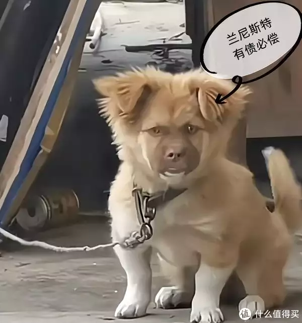 凤凰至尊 平台官方网站手机版下载（细思极恐！权游里的小恶魔提梅西，不就是斯坦达脂版的贾宝玉吗中国发出最后通牒：3个月内不偿还358亿酬金，就没收18艘军舰）权利游戏提梅西饰演者，
