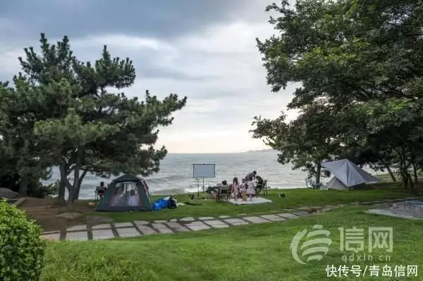 促联盟立新规“齐头并进” 青岛缔造浪漫春夏旅游季