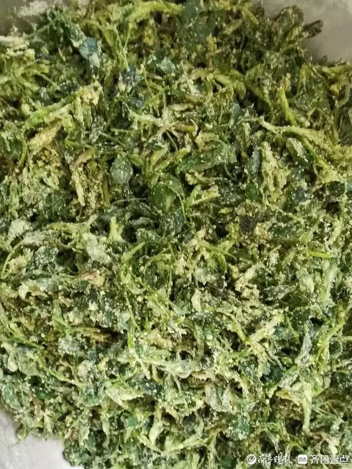 苜蓿怎么做着吃（苜蓿怎么做好） 第3张