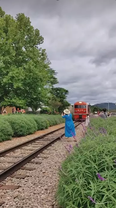 云南米轨火车因一女子拍照被逼停，旅游局：火车虽运行较慢，但仍存在安全风险当迪士尼公主黑化了，白雪公主邪魅，爱洛公主很诡异！