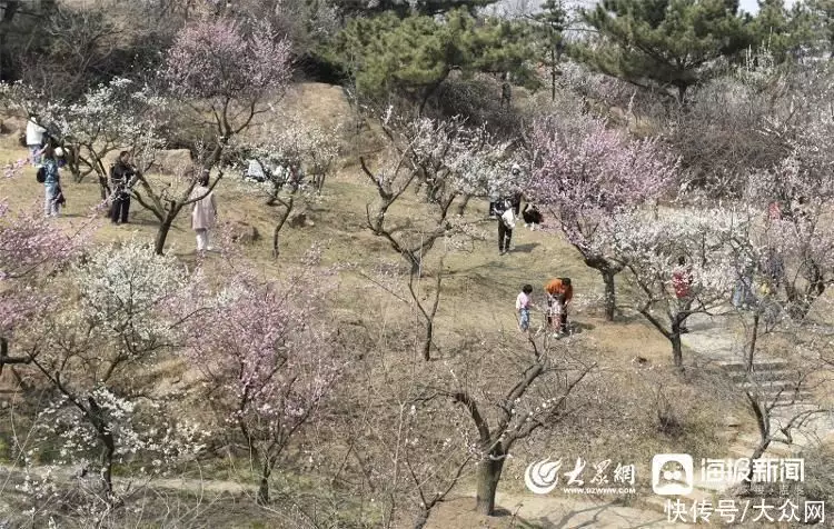 新鲜出炉（暖风熏得游人醉中的熏是什么意思）古诗暖风熏得游人醉中的熏是什么意思 第4张