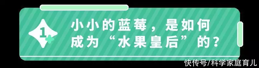 蓝莓的营养价值及功效与作用（草莓有什么营养功效） 第2张