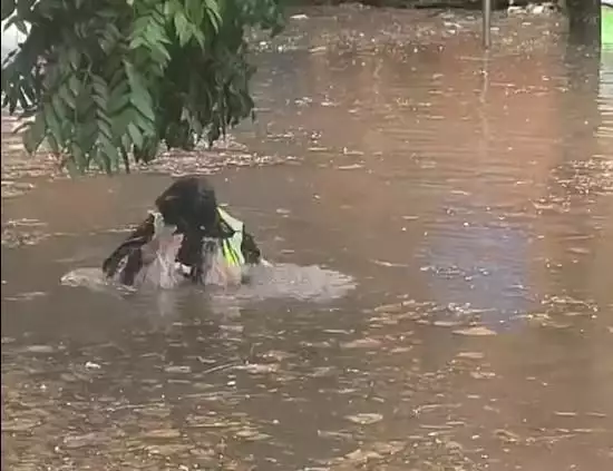 广东供卵助孕机构名单（环卫处暴雨过后清理通知）