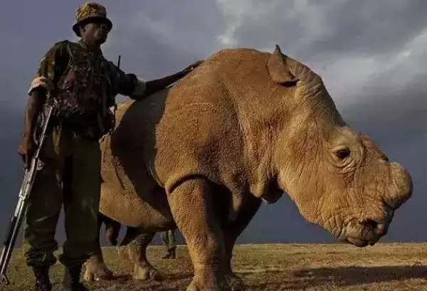 世界罕见物种_世界罕见生物_世间罕有生物