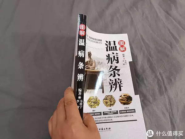 张仲景的著作是什么（张仲景著书） 第2张