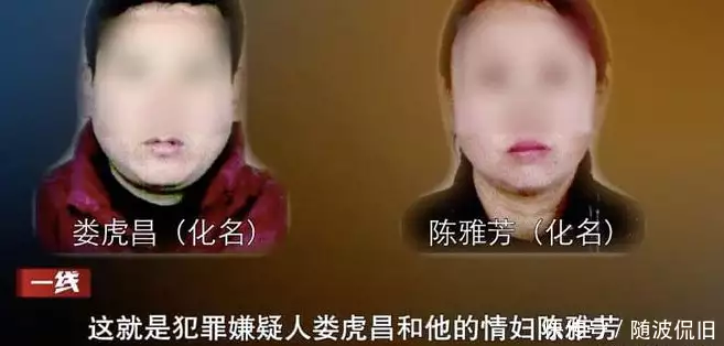 一看就会（医院能开假怀孕证明嘛）医院能开假怀孕证明吗 第8张