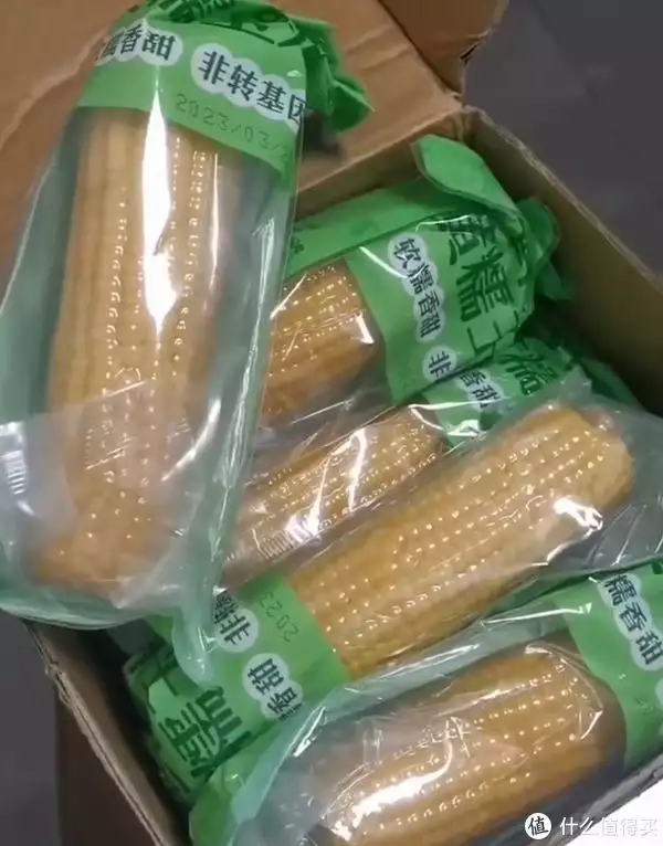 越早知道越好(春季露营综艺bili)春季露营综艺百度云2023已更新 第3张