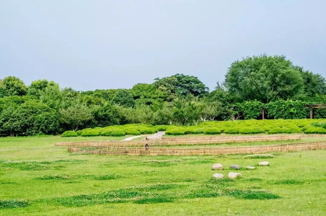 夏至古诗大全（最著名的夏至诗词很长） 第5张