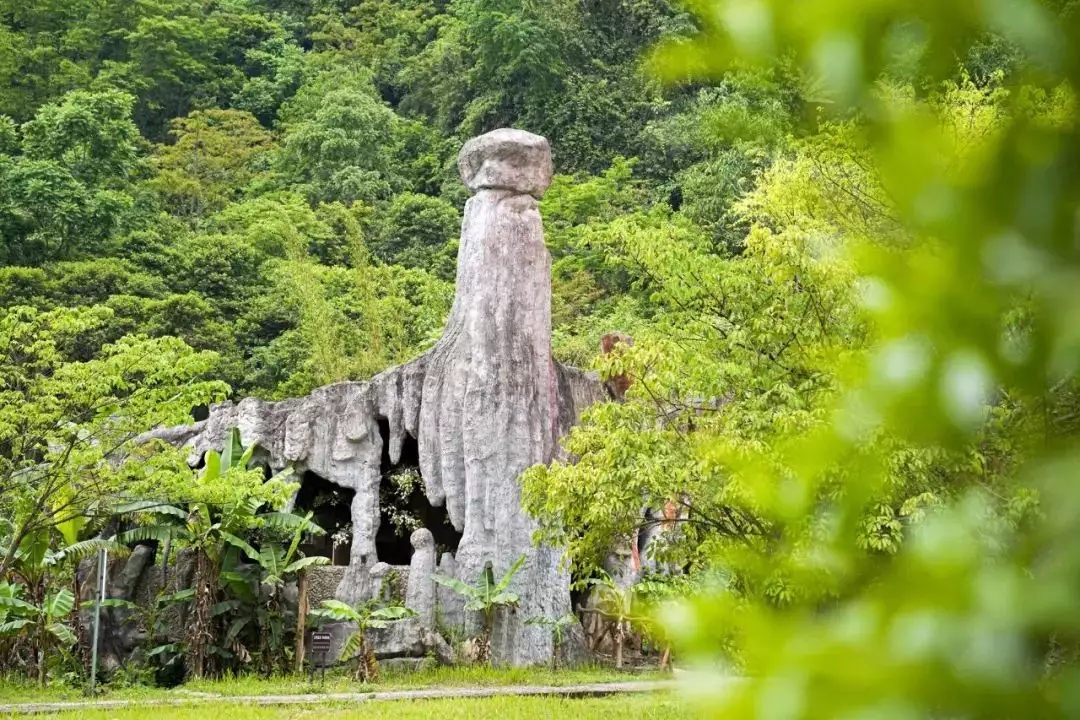 云南鲜花（云南鲜花基地鲜花大全图片） 第15张