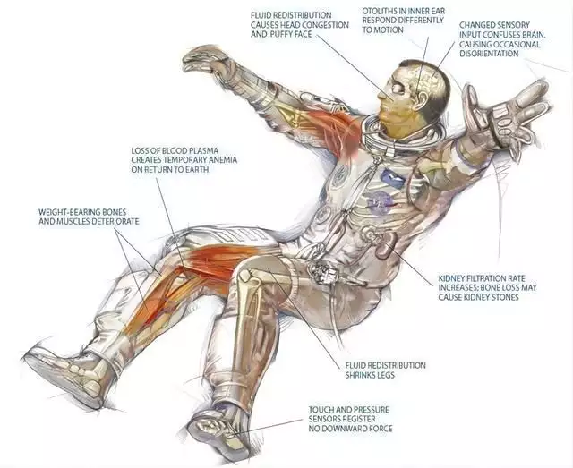 太空回来的真是本人吗（太空回来需要多久适应） 第2张