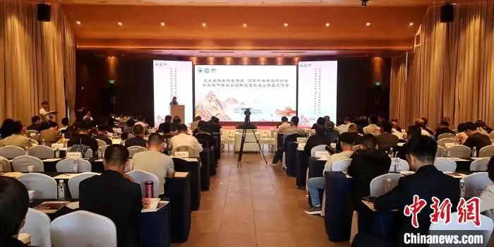 全国60个道教名山代表齐聚江西灵山 探索产业发展新路径