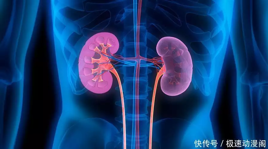 连续性肾脏替代该怎么治疗？对脓毒症急性肾损伤患者有什么影响？年纪越大越要管住嘴，少吃3类，多吃2类，懂得忌口，早知道早受益（脑内科和脑外科的区别）连续肾脏替代治疗的适应症有哪些，