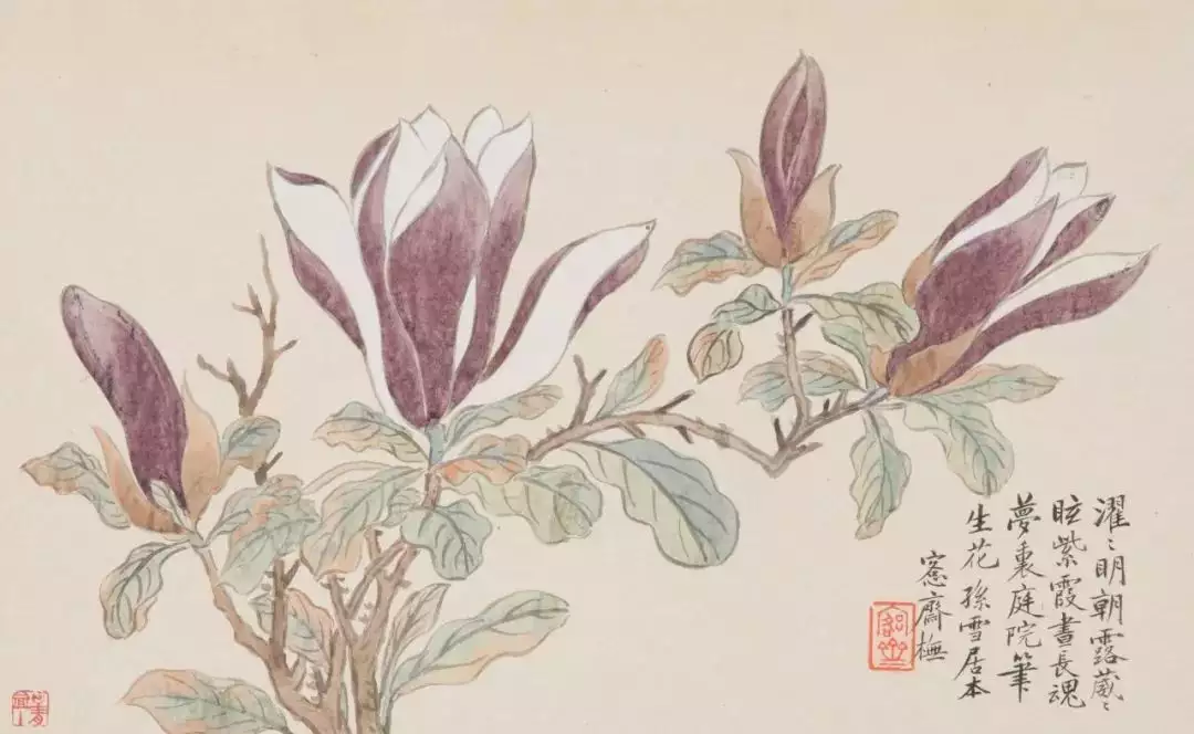 吴湖帆的爷爷，花卉画得如此好！亲爹给我起的名字，才上学3天就被同桌打了9回！女同学都躲着我