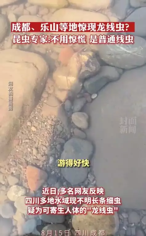 水中出现龙线虫？四川疾控专家辟谣周迅半裸人体模特画曝光，一幅卖184万！