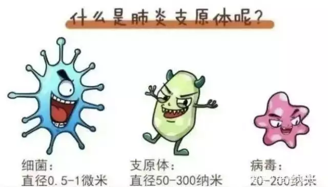 支原体肺炎今年来势汹汹 专家解读（支原体肺炎进展快吗） 第3张