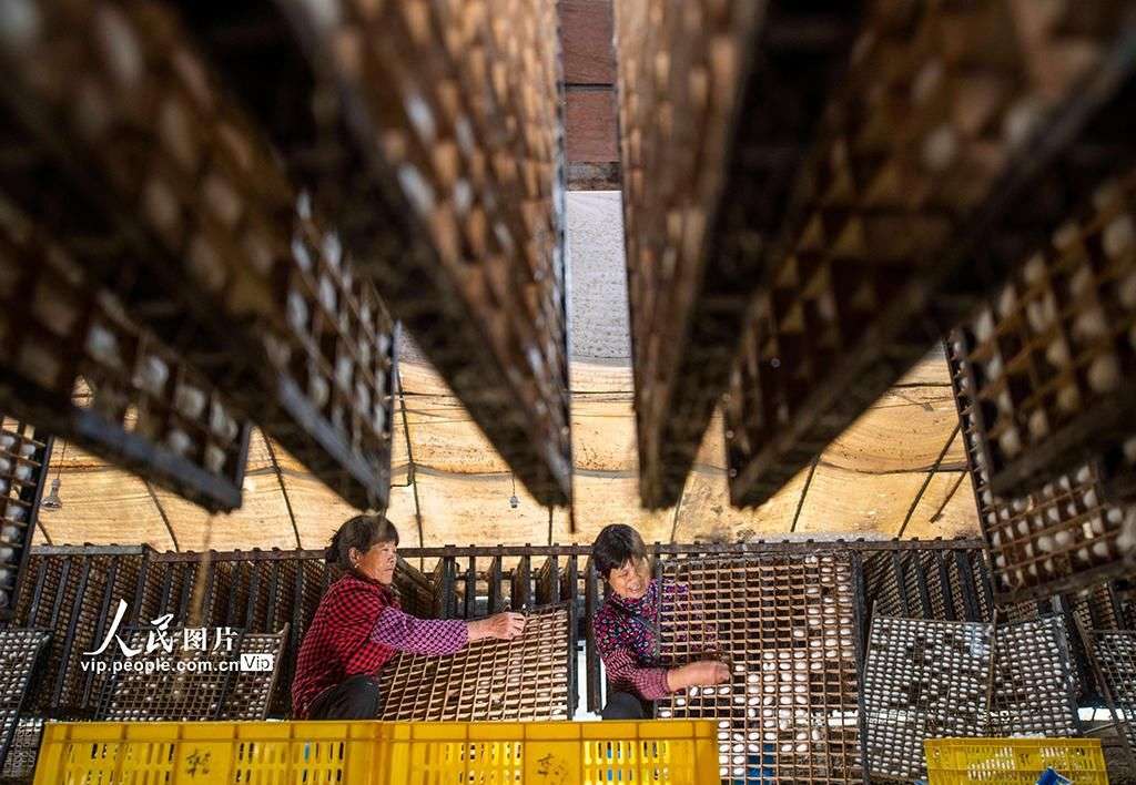 预计新增产值500万元