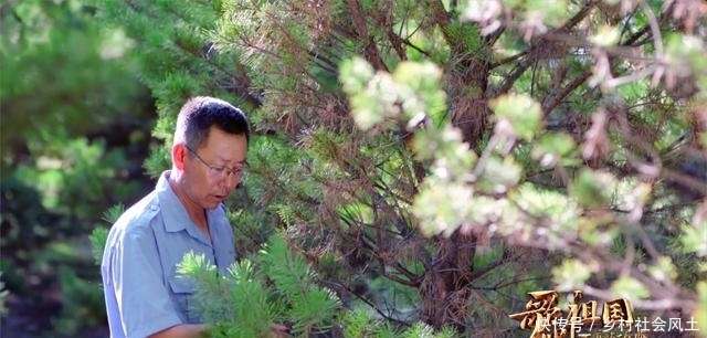 神木人“忠于心勇于行”，《一对对鸳鸯水上漂》探寻歌曲源头 传承神木精神_【快资讯】