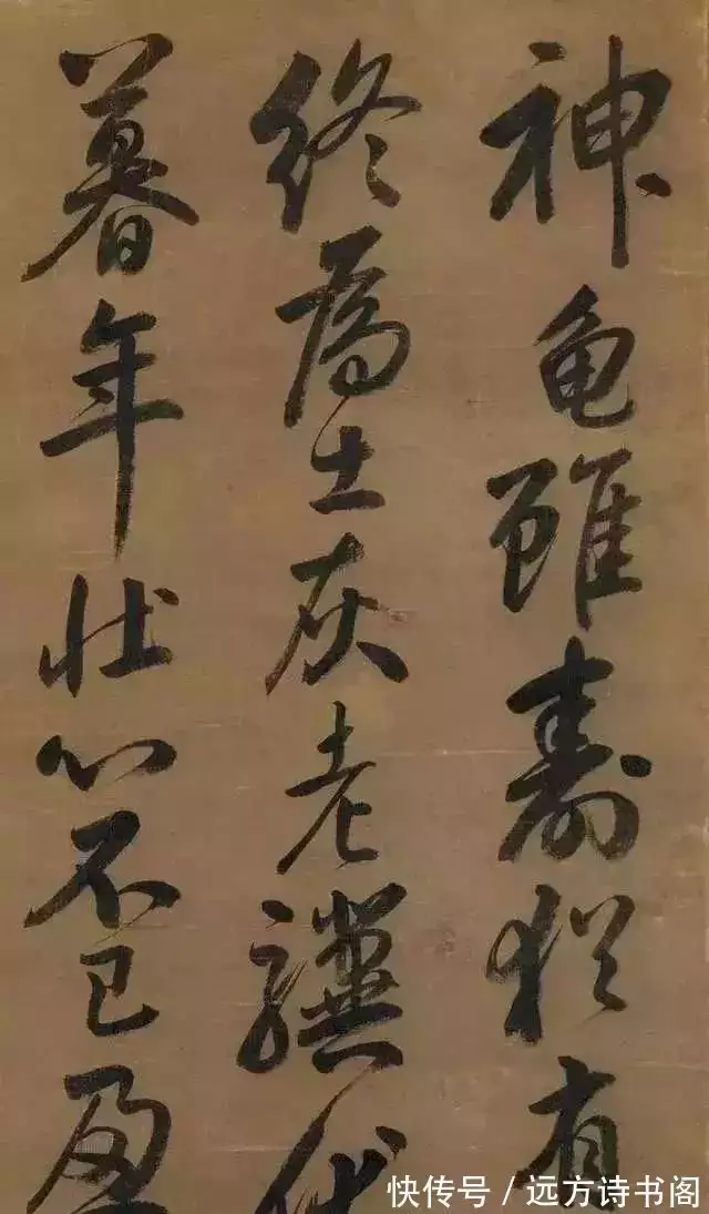 学会了吗（龟虽寿）龟虽寿曹操 原文 第2张