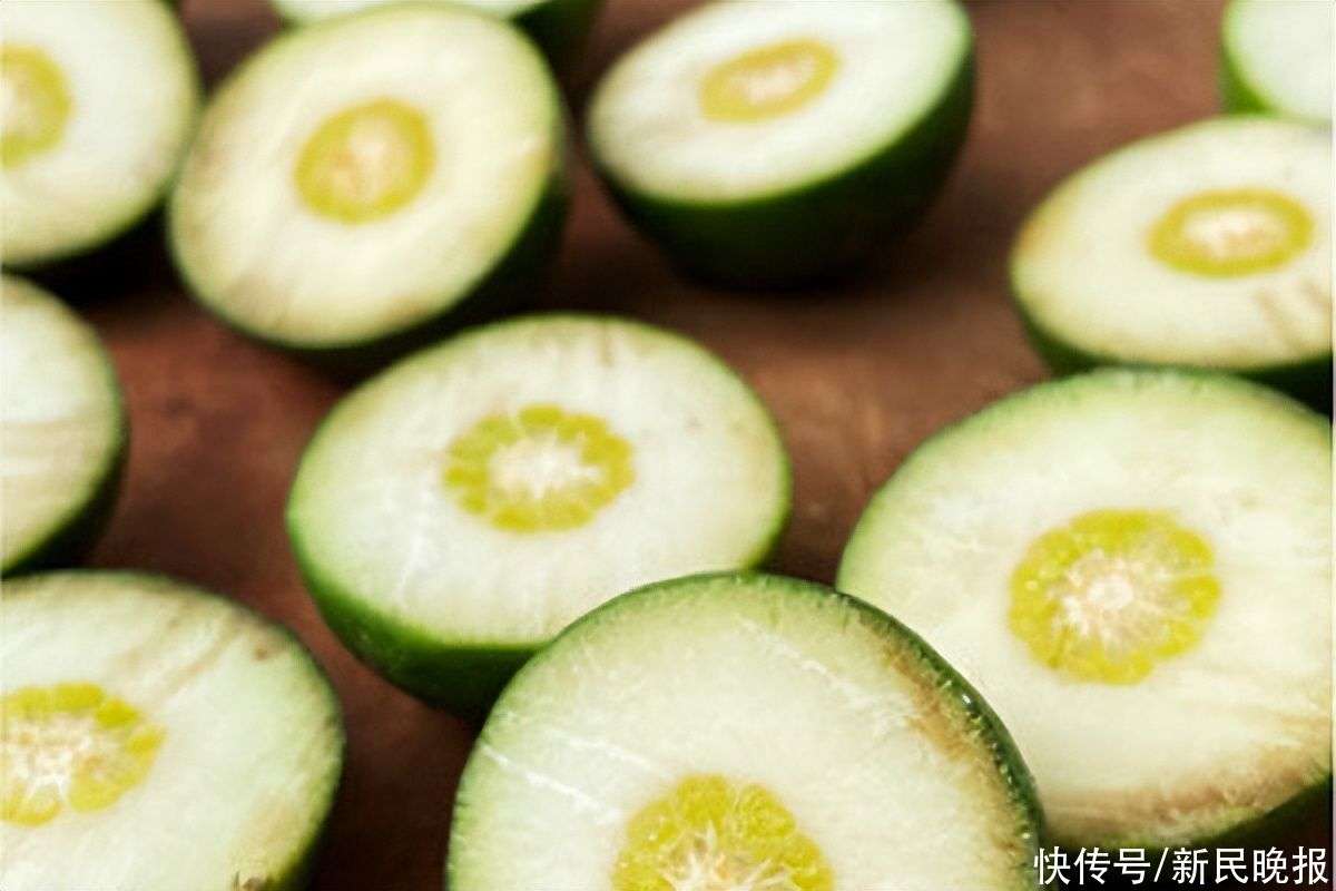 枳壳树下的人生碎影_【快资讯】