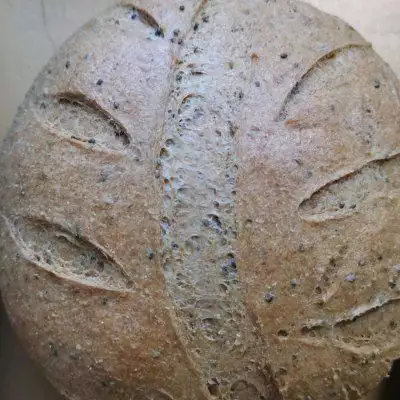 主食欧包她是鲁迅的原配夫人,一生无性无爱无后,临终说了一句话字字揪心