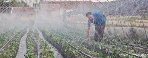 室内种植致富项目_致富经项目_致富项目加工办厂